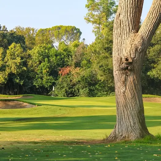 Tree-lined green with bunker at William Land Golf Course in Sacramento