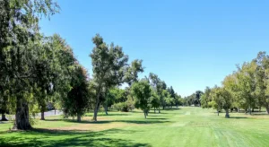 William Land Golf Course fairway with trees and blue sky